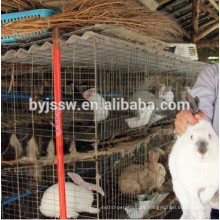Hot Selling Used Commercial Rabbit Breeding Cages